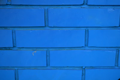Close-up of a grout brush scrubbing tile grout, revealing bright, clean lines.
