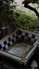 A decorative outdoor basin with a checkered tile pattern border and a floral painting inside, surrounded by greenery and vegetation. A blue faucet is visible on the left side attached to a metal pipe, and a plastic bottle is partially visible behind the basin. A gnarled tree branch extends overhead, casting some shadow on the scene.
