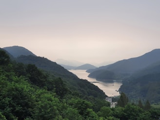 A serene landscape with a winding river under a soft sky.