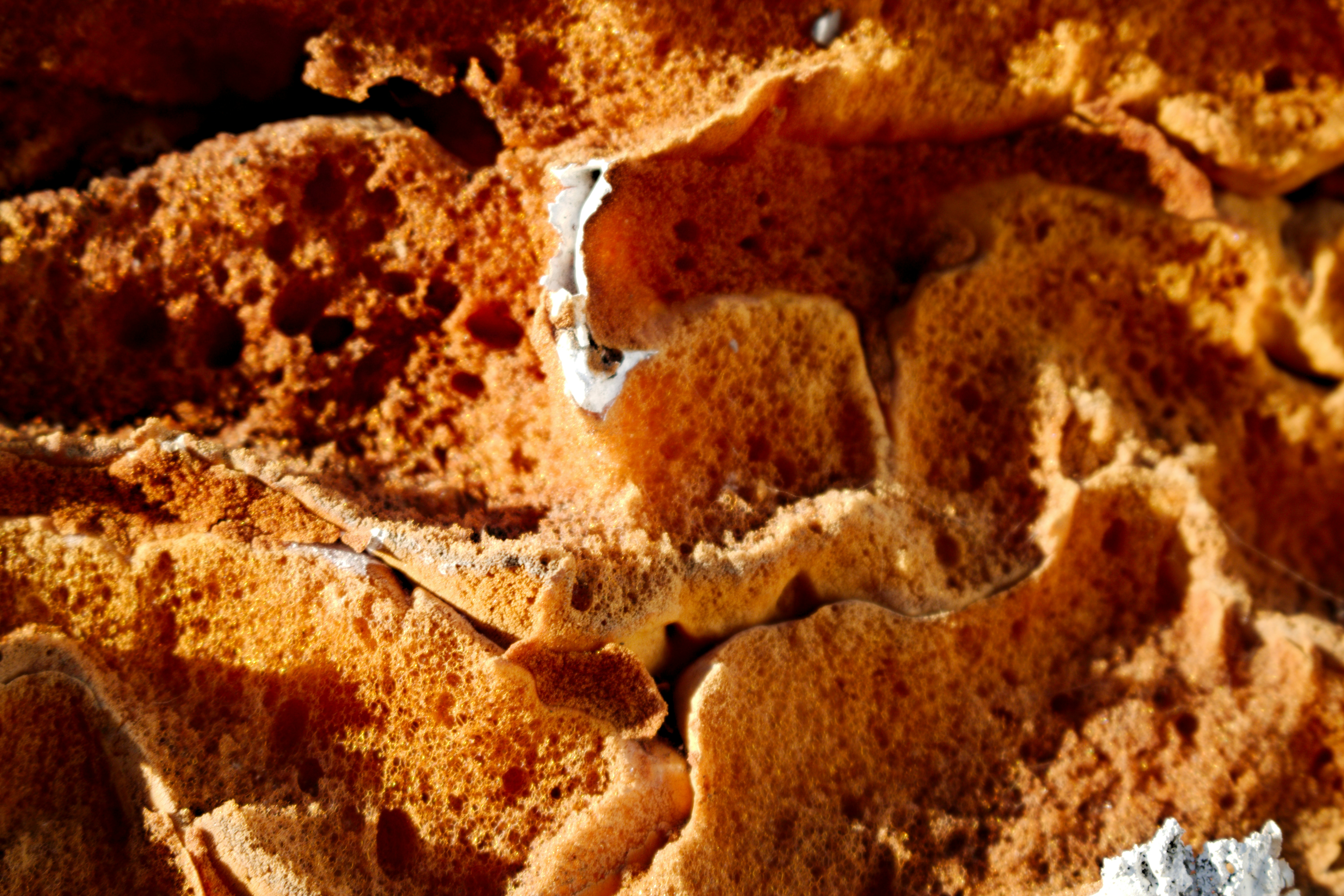 a close up of some food that is brown