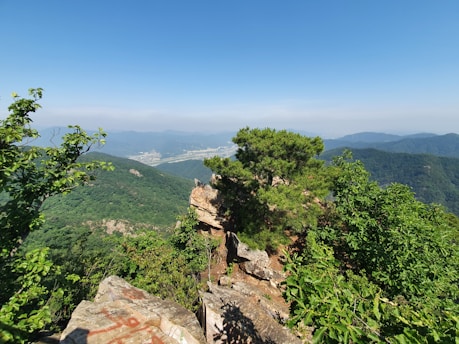 A scenic view of a popular tourist destination with clear blue skies and lush greenery.