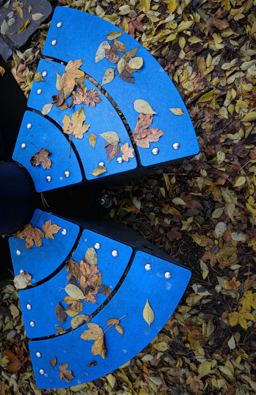 a blue park bench sitting on top of a pile of leaves