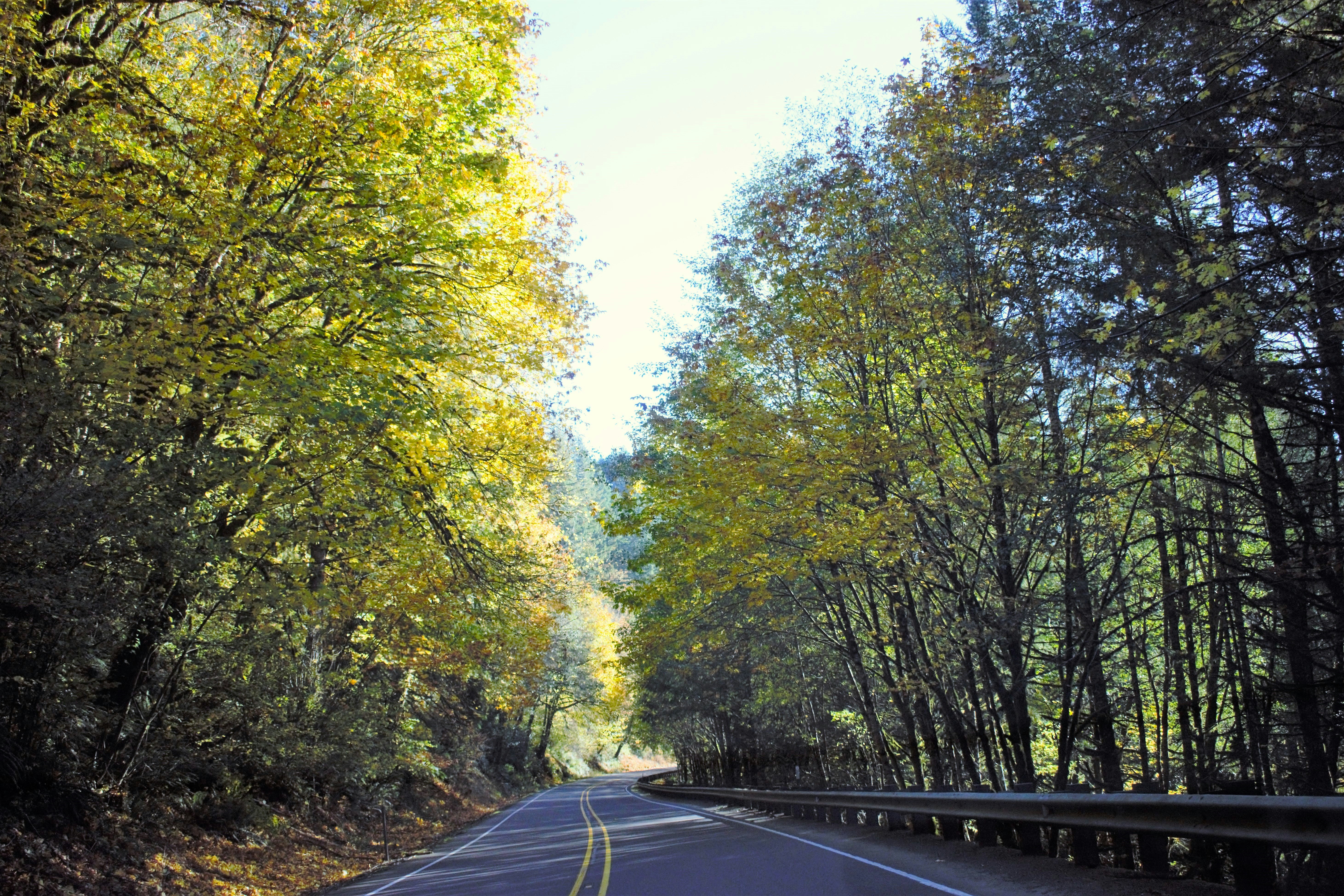 How long does it take to sell a home in Bothell right now?