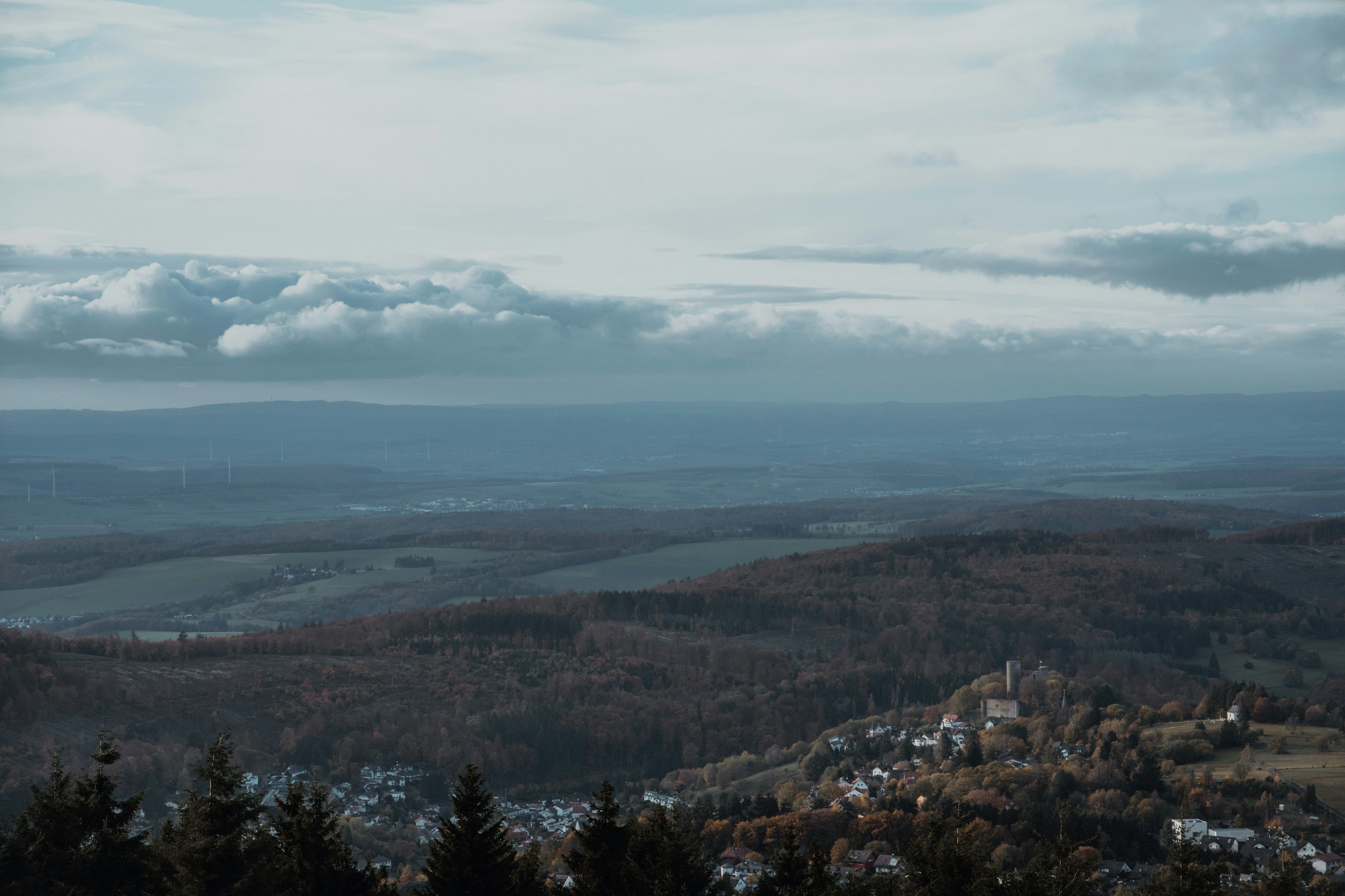 Choose from a curated selection of tree photos. Always free on Unsplash.