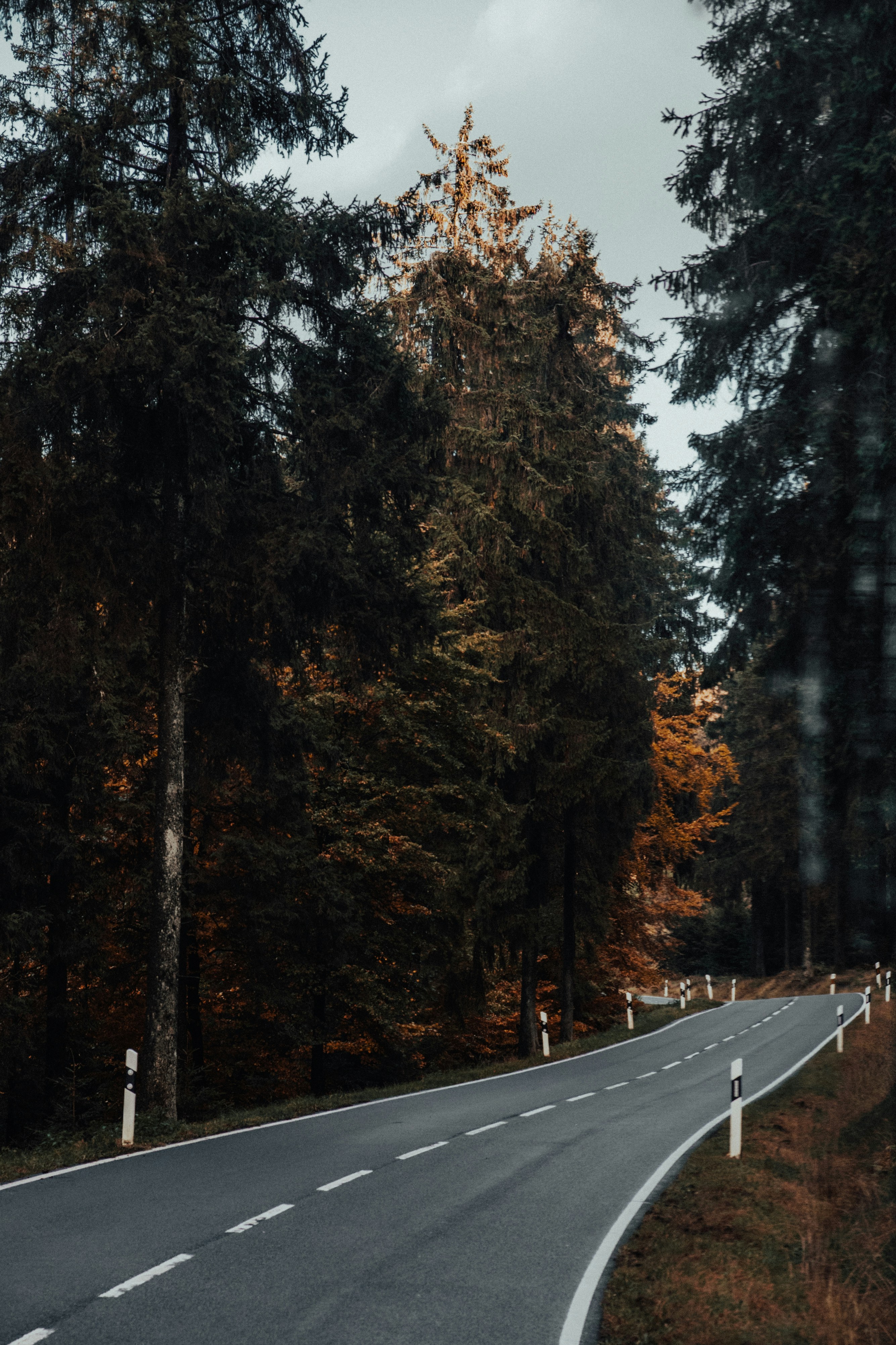 photo-1698829295735-28d5e82b1d90?ixid=M3wxMjA3fDB8MXxzZWFyY2h8MzB8fHRydWZmZSUyMGVuJTIwbGlnbmV8ZW58MHx8fHwxNzAxMDY3NzYxfDA%5Cu0026ixlib=rb-4.0.3