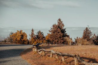 A serene rustic landscape featuring aged wooden fences and autumnal trees against a moody sky.