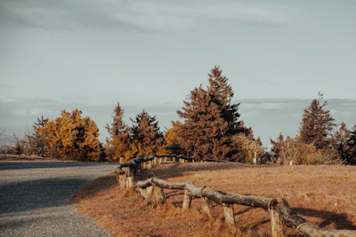A serene rustic landscape featuring aged wooden fences and autumnal trees against a moody sky.
