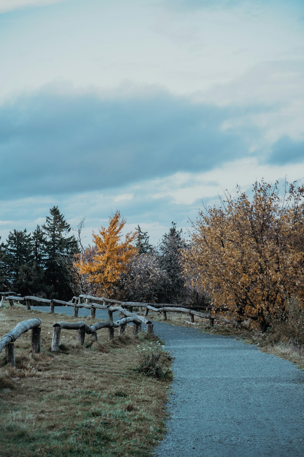 a road with a bunch of wooden benches on the side of it