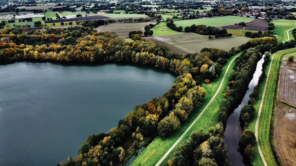 a large body of water surrounded by trees