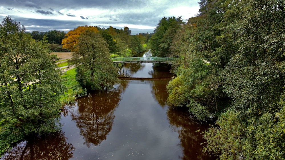 a river running through a lush green forest