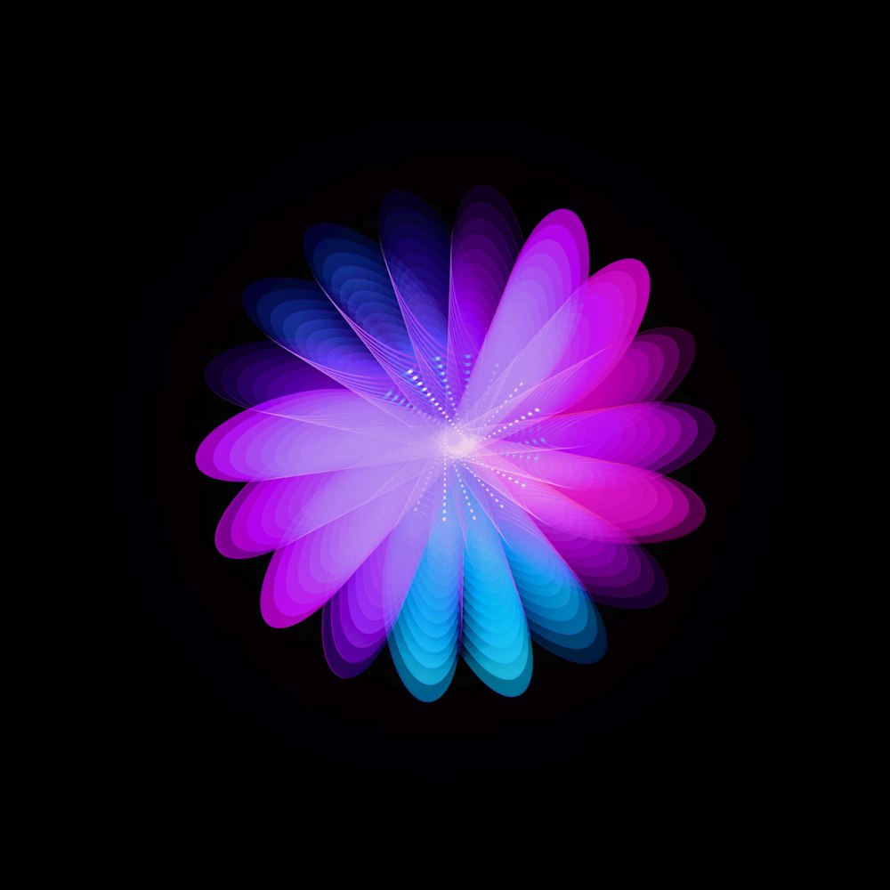 a purple and blue flower on a black background