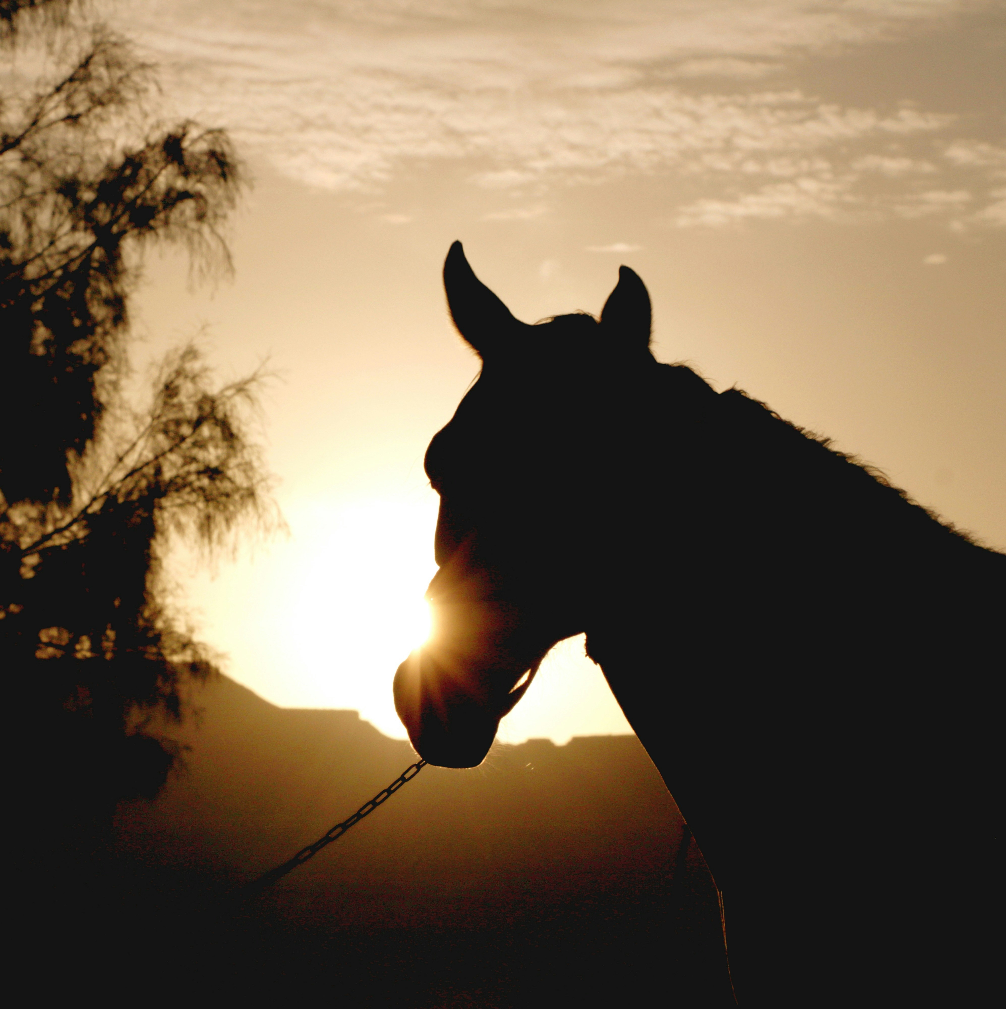 Photo by kowsarsalehpour1