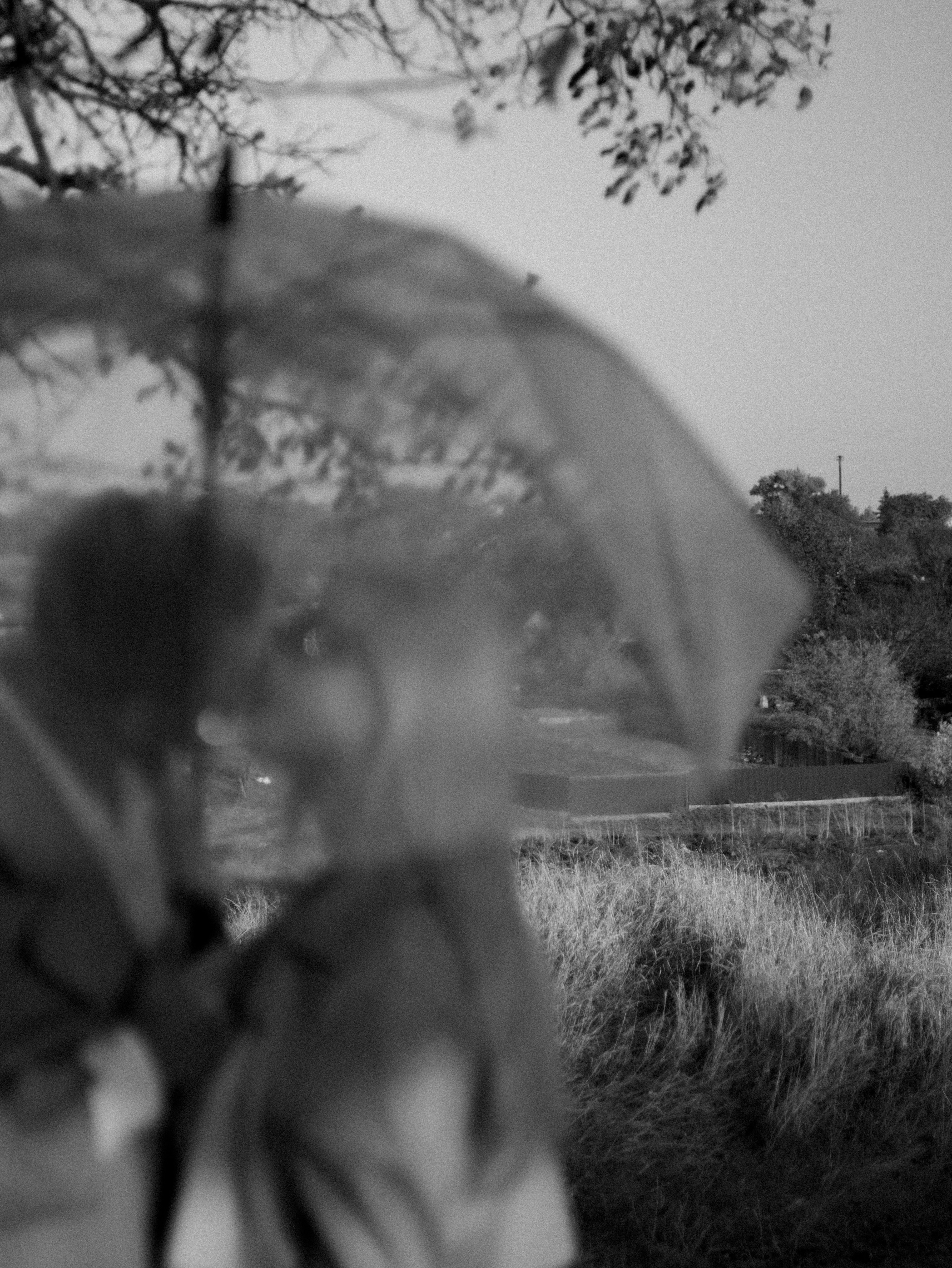 Photo by anyutakejbalo