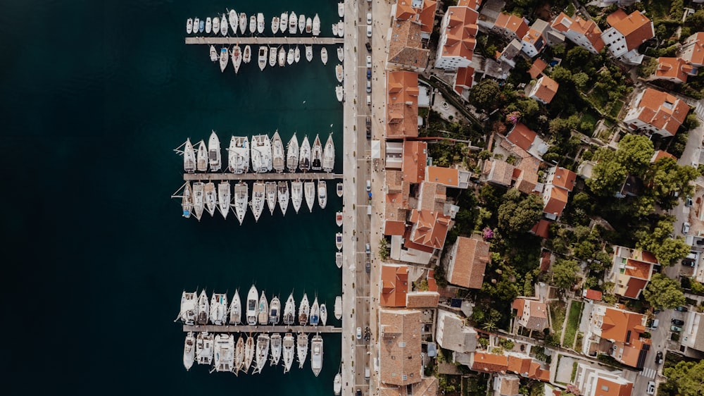 a group of boats are docked in a harbor