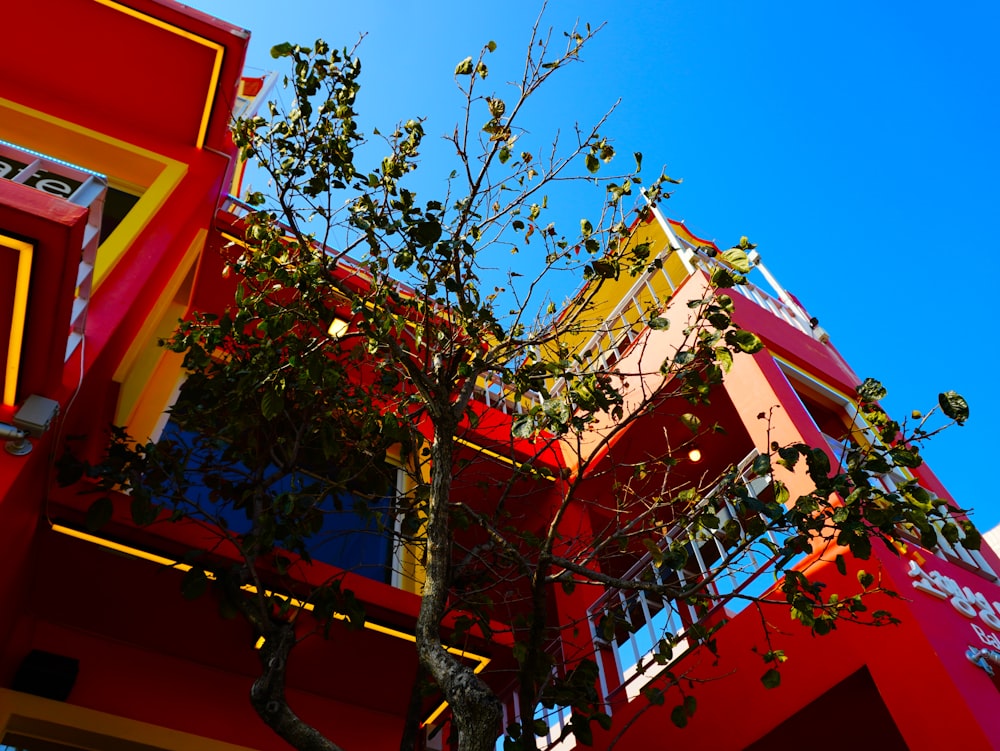 a tree in front of a multi - colored building