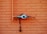 An orange brick wall with a metal gas pipe attached to it. The pipe is connected to a valve with a pressure gauge, and a hose extending horizontally. The wall features a repeating rectangular brick pattern.