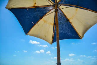 A stylish windproof umbrella battling strong gusts on a blustery day.