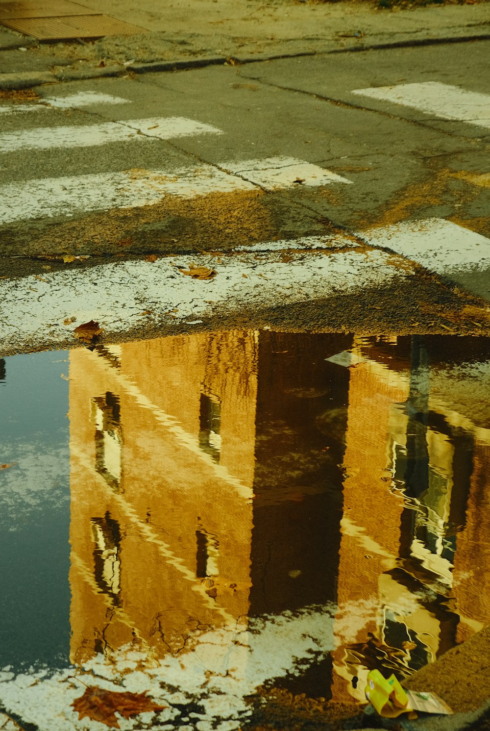 a reflection of a building in a puddle of water