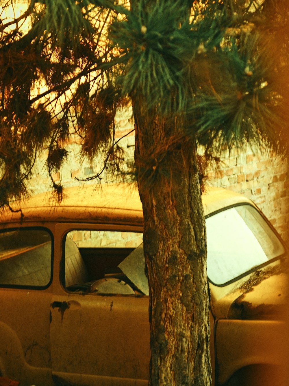 an old car is parked next to a tree