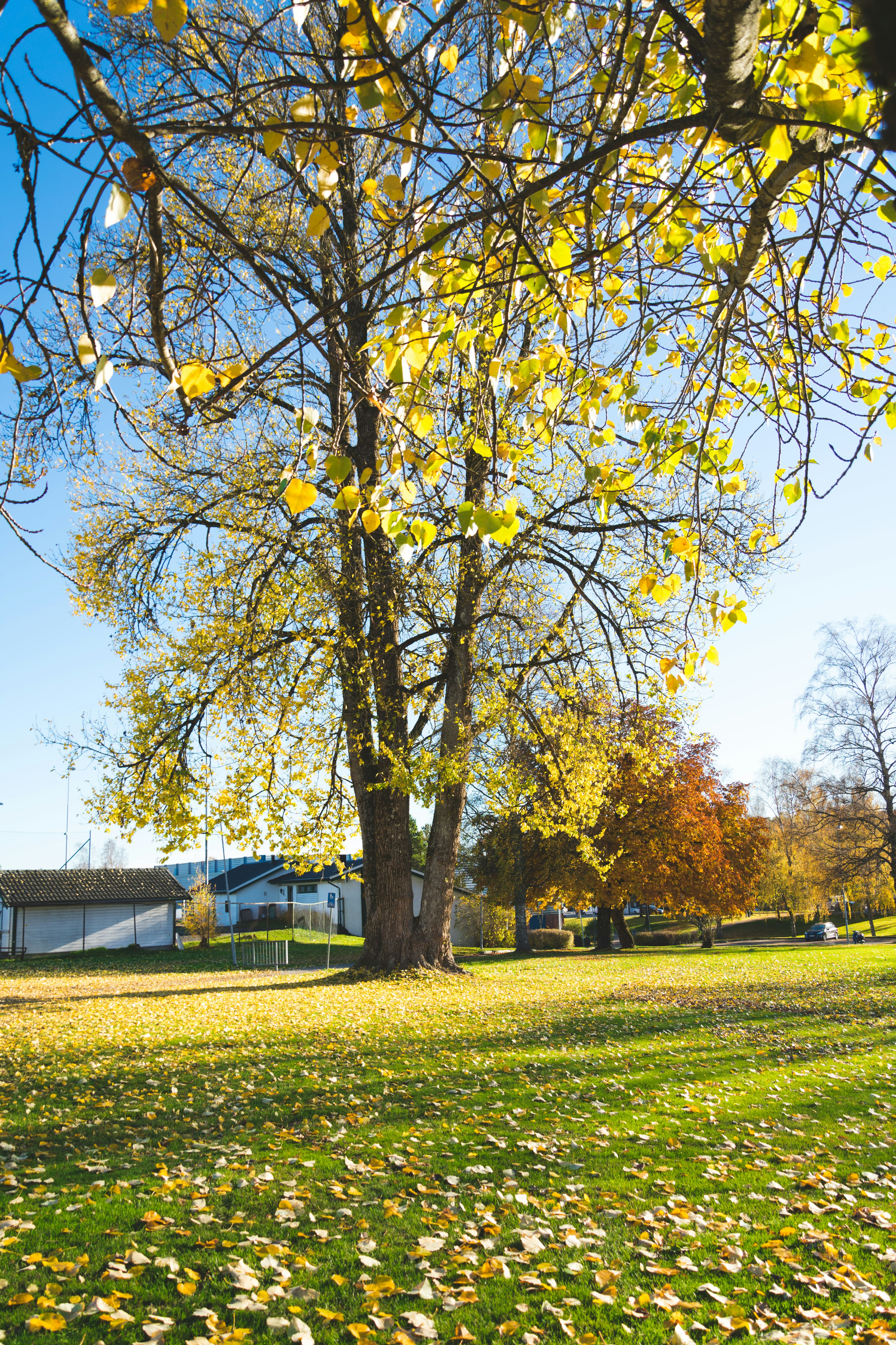 Photo by aleksander_b