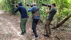 Three individuals are standing in a forest, each holding a large camera with a telephoto lens, aiming their cameras towards the left side of the image. They are on a leaf-strewn path surrounded by greenery and wearing outdoor attire, including long sleeves, pants, and hats.