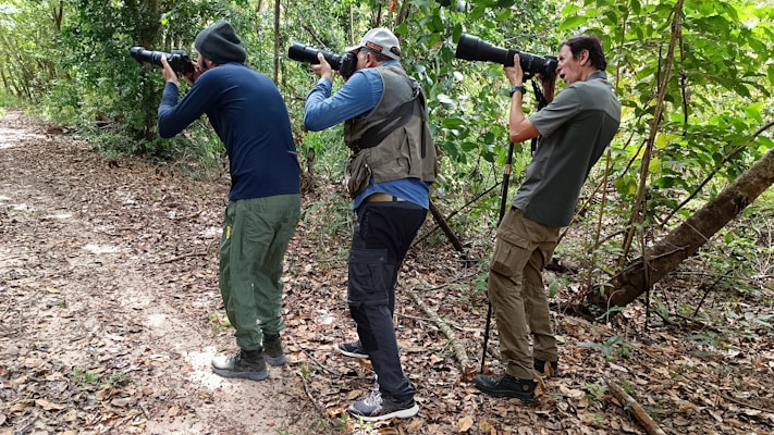 Three individuals are standing in a forest, each holding a large camera with a telephoto lens, aiming their cameras towards the left side of the image. They are on a leaf-strewn path surrounded by greenery and wearing outdoor attire, including long sleeves, pants, and hats.