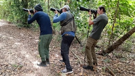 Three individuals are standing in a forest, each holding a large camera with a telephoto lens, aiming their cameras towards the left side of the image. They are on a leaf-strewn path surrounded by greenery and wearing outdoor attire, including long sleeves, pants, and hats.