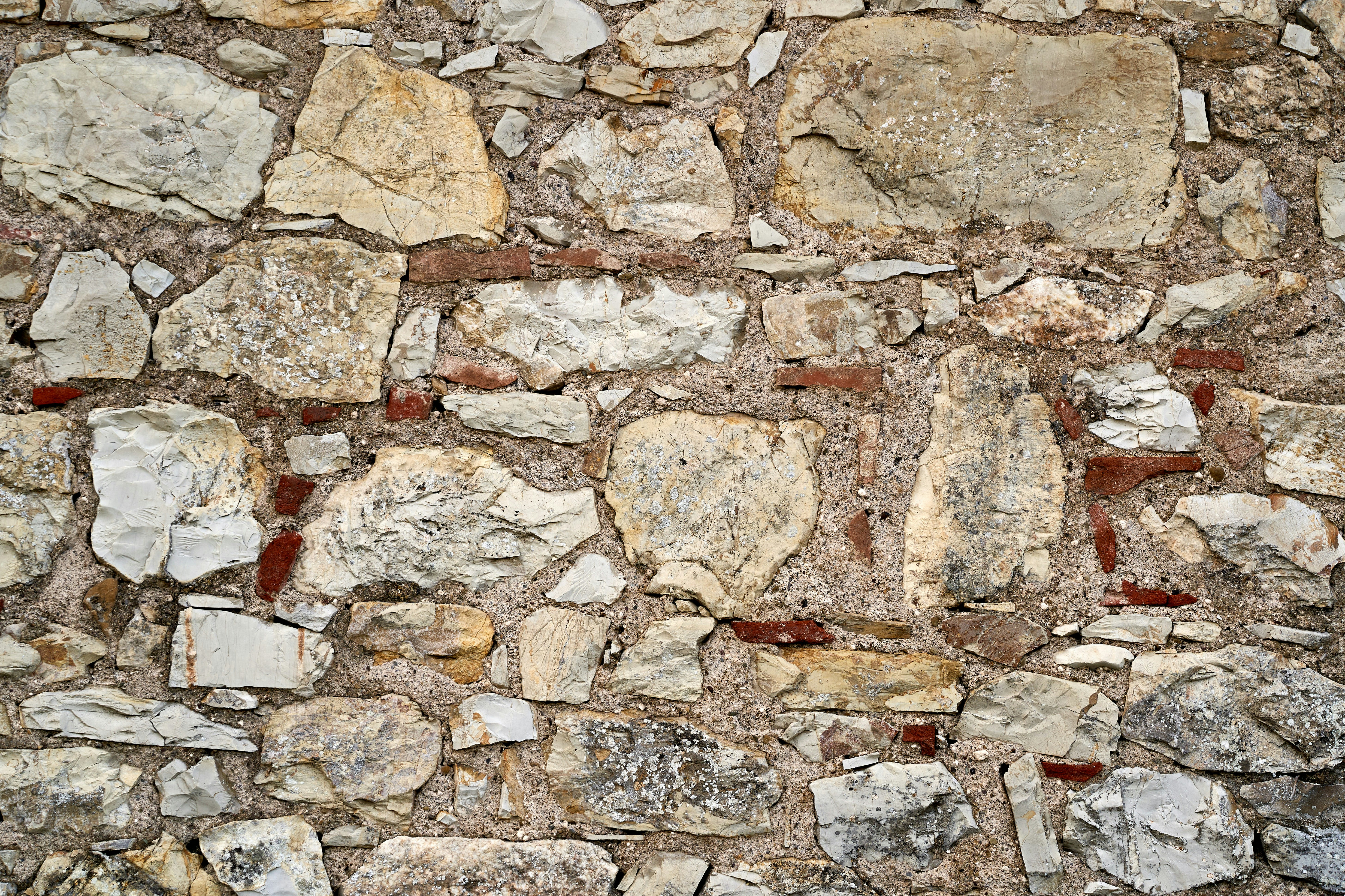 Photo by wolfgang_hasselmann