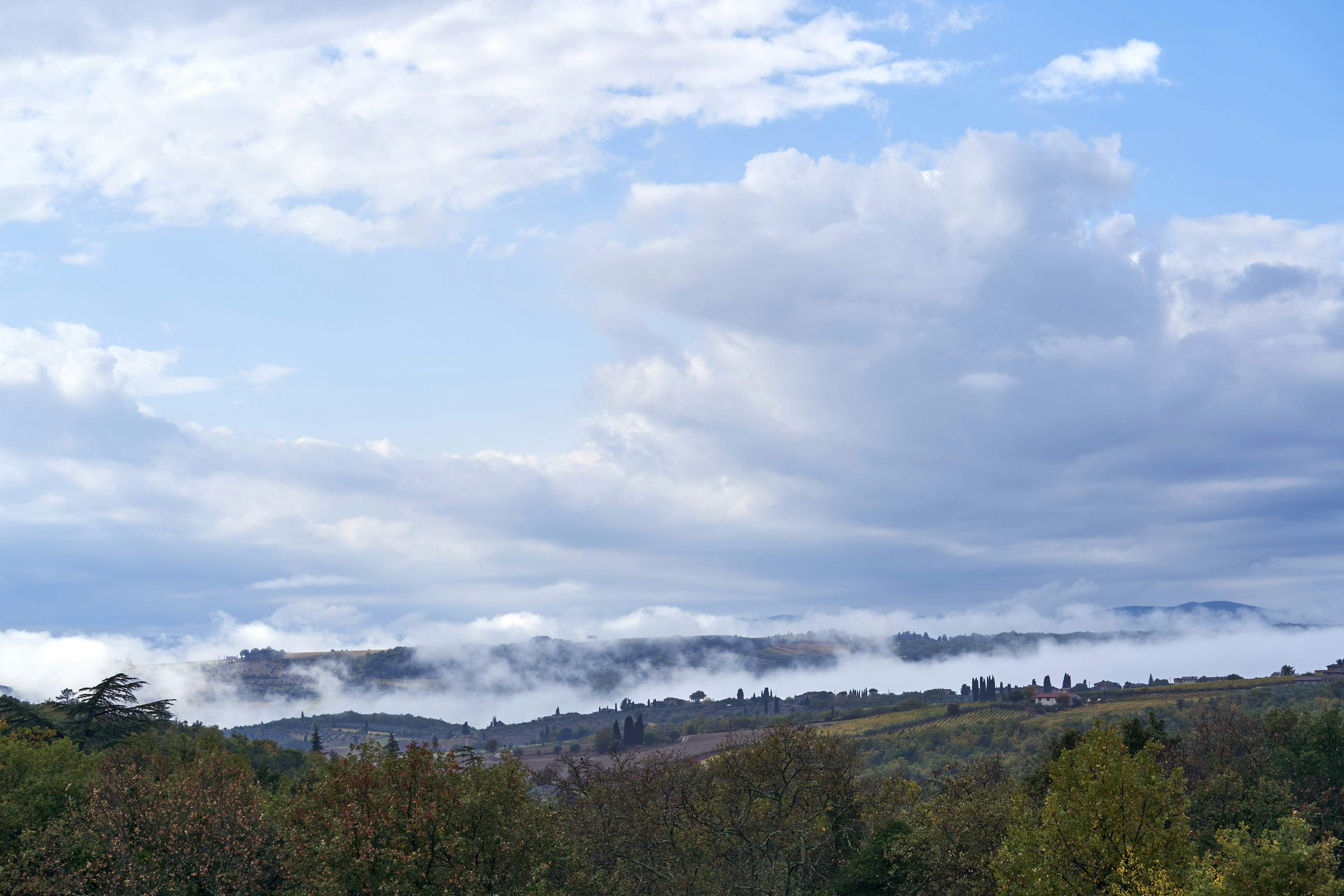 Photo by wolfgang_hasselmann