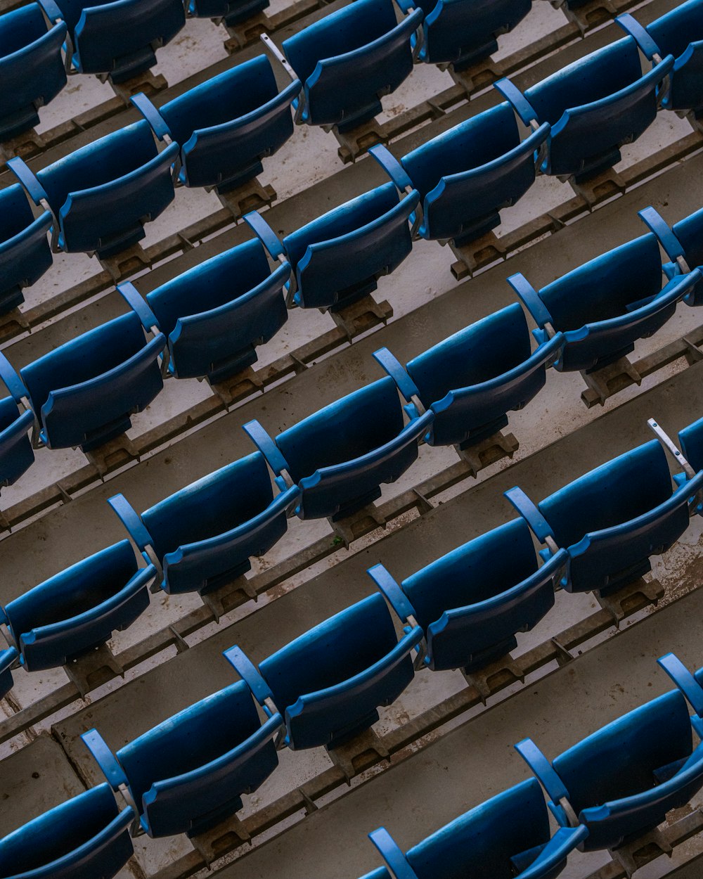 隣り合って座る青い座席の列