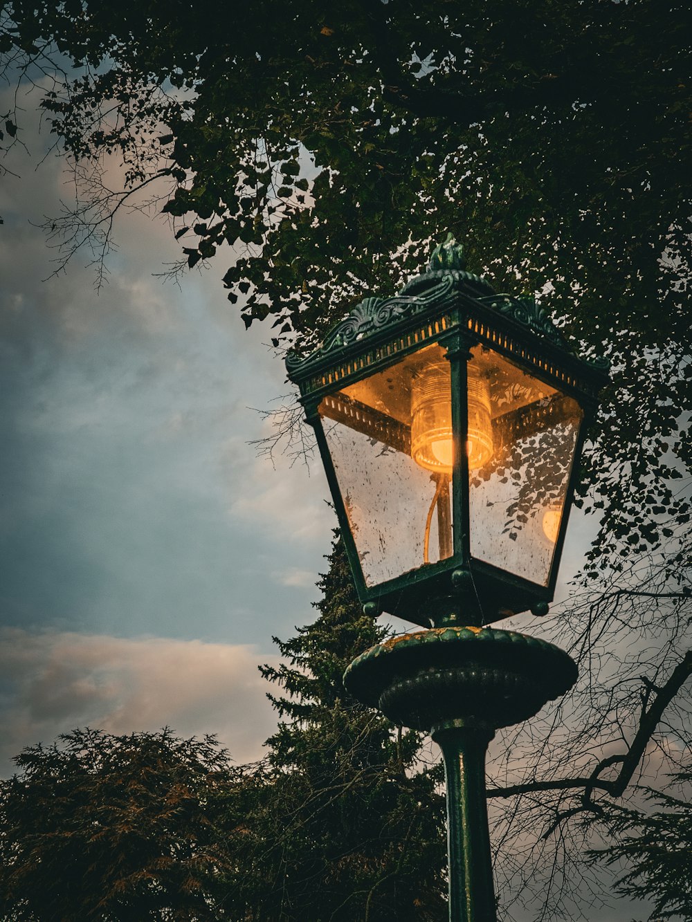 a lamp post with a tree in the background