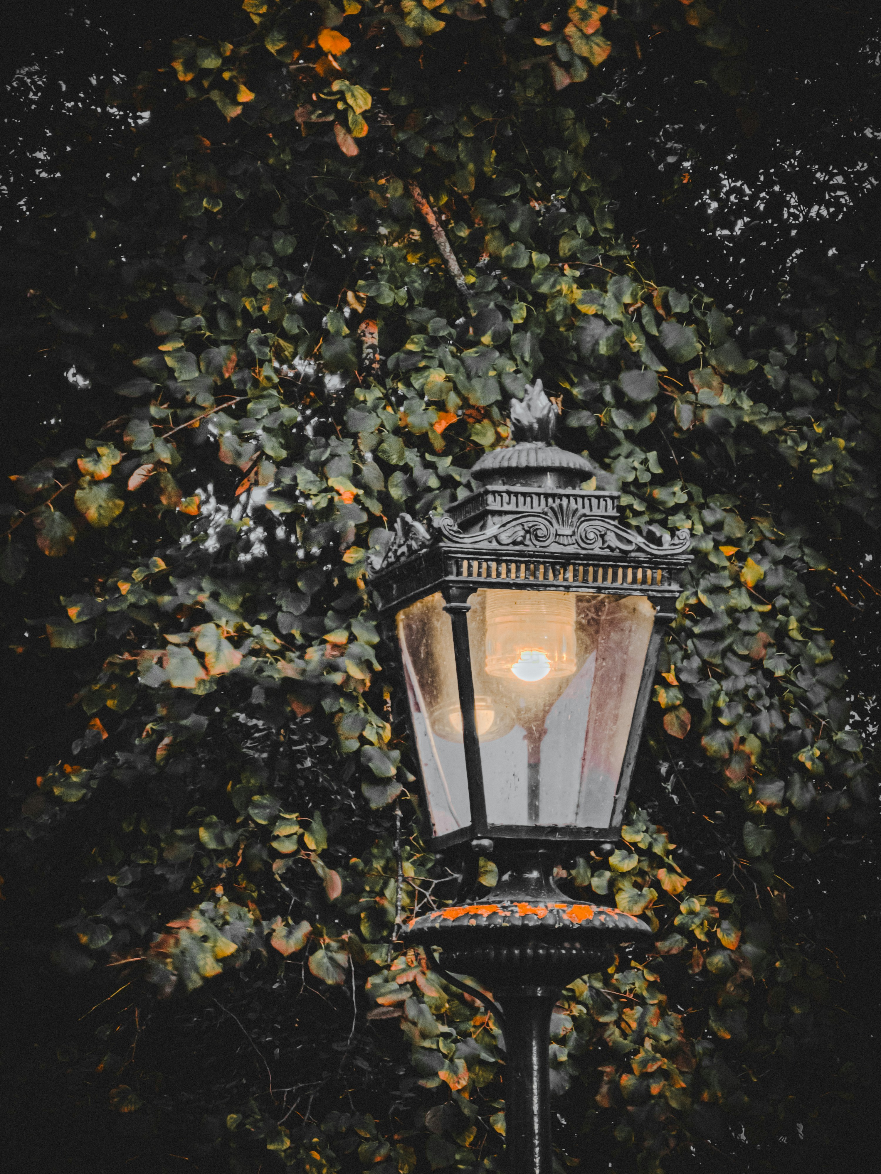 Photo by _priyank007_