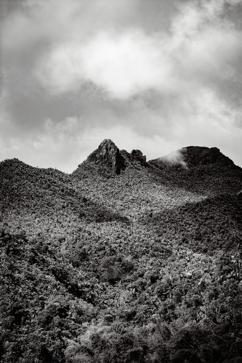 a black and white photo of a mountain