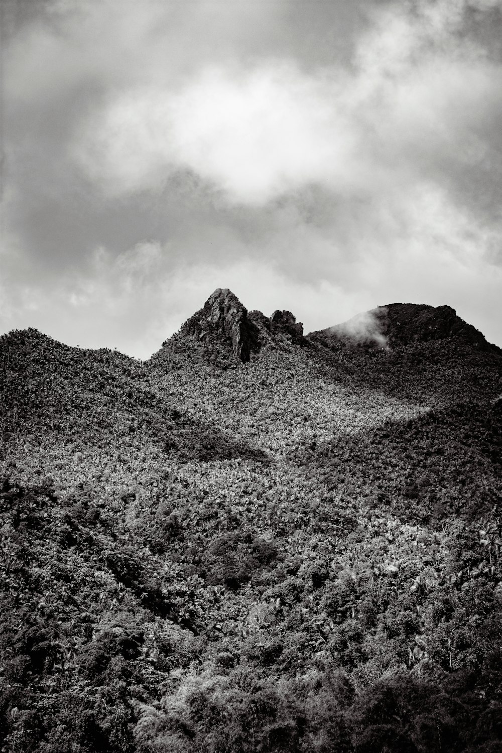 una foto in bianco e nero di una montagna