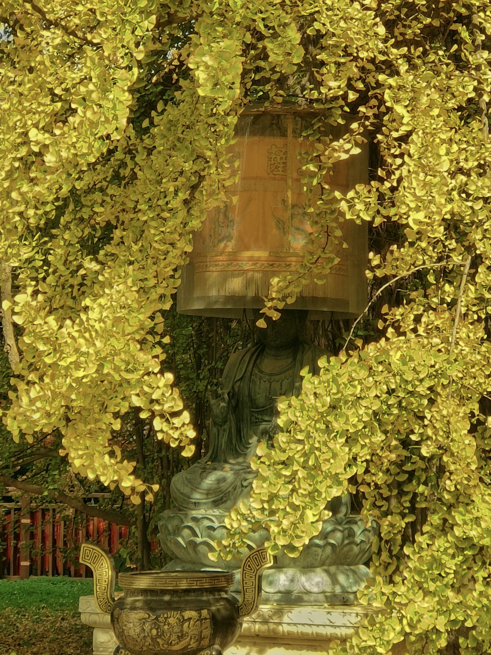 a bench under a tree with yellow leaves