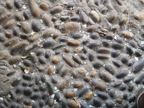 An arrangement of variously sized and colored smooth pebbles embedded in a rough, cement-like surface. The pebbles are predominantly rounded and elongated in shades of gray and brown, with some broken white fragments scattered among them.