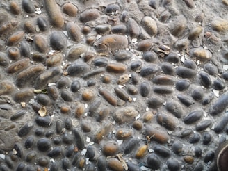 An arrangement of variously sized and colored smooth pebbles embedded in a rough, cement-like surface. The pebbles are predominantly rounded and elongated in shades of gray and brown, with some broken white fragments scattered among them.