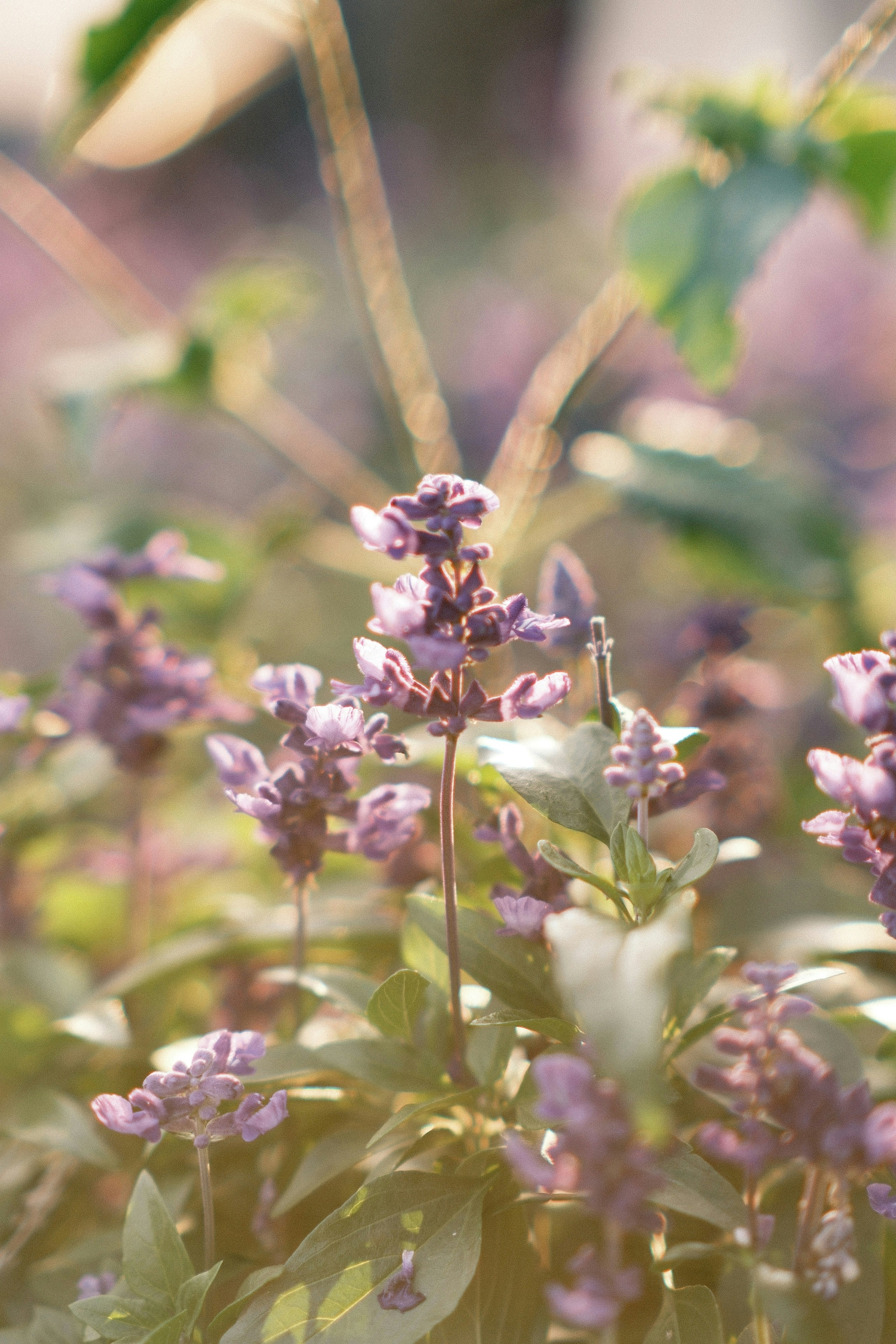 Photo by yokonoito0512