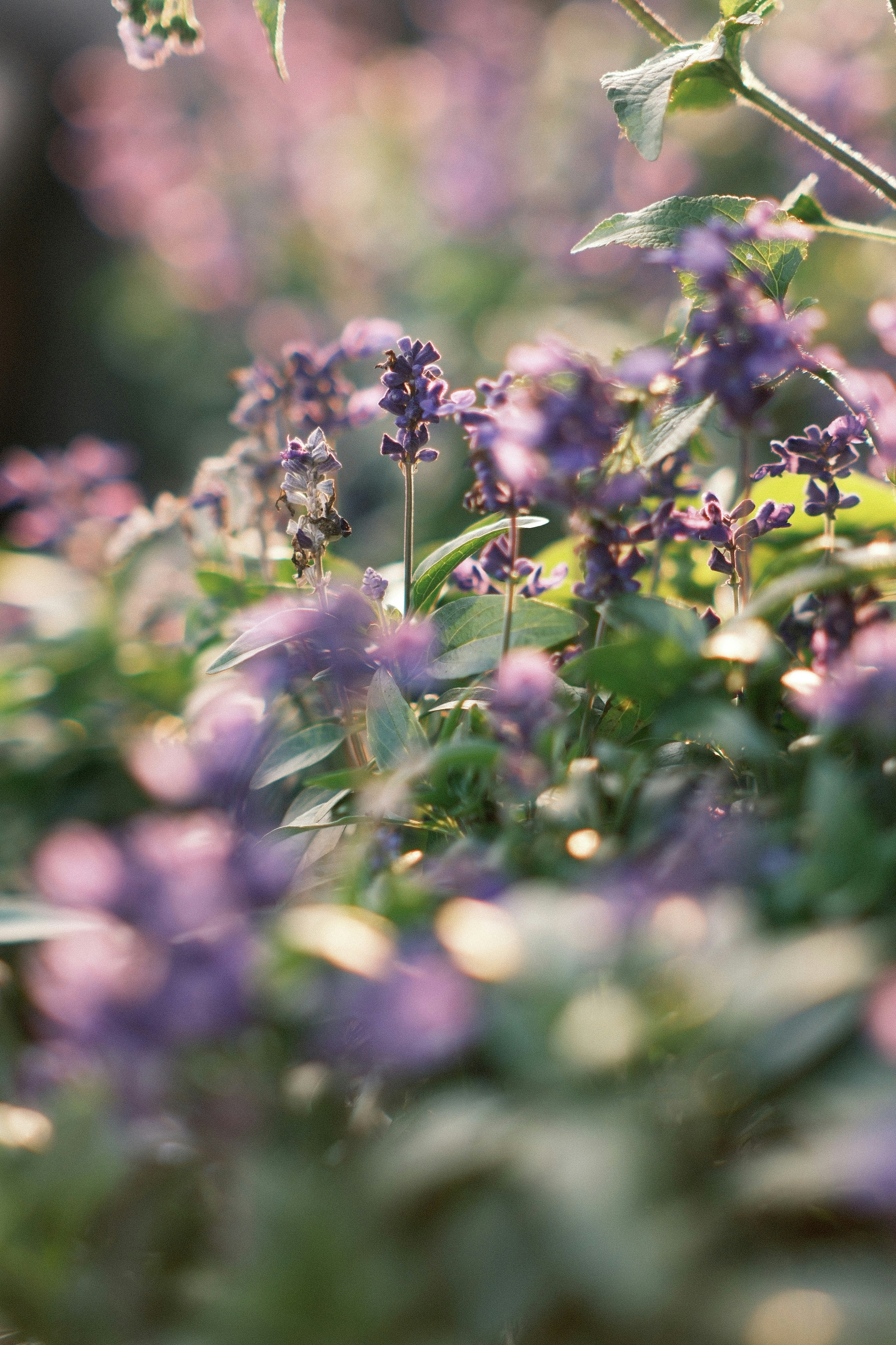 Photo by yokonoito0512