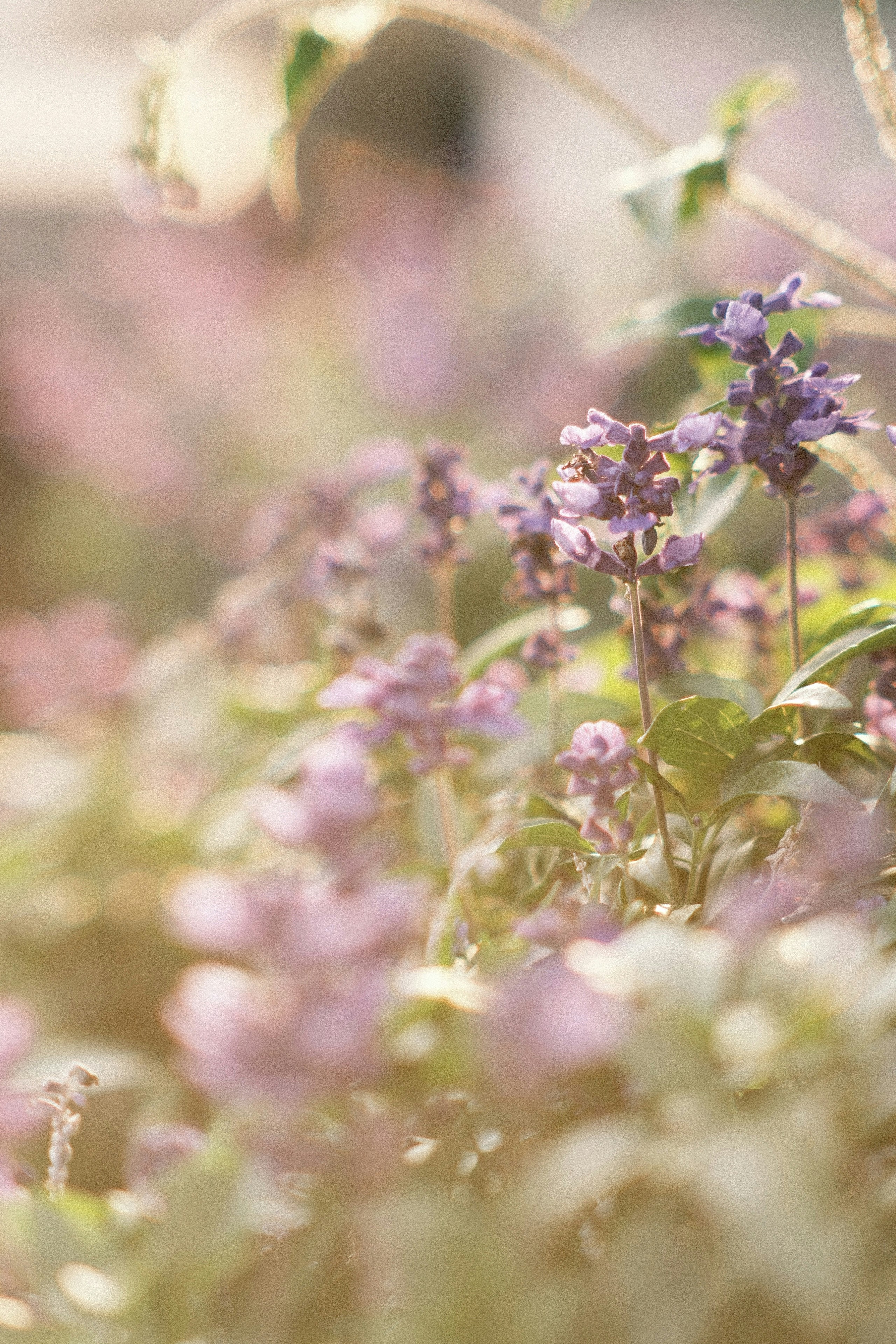 Photo by yokonoito0512