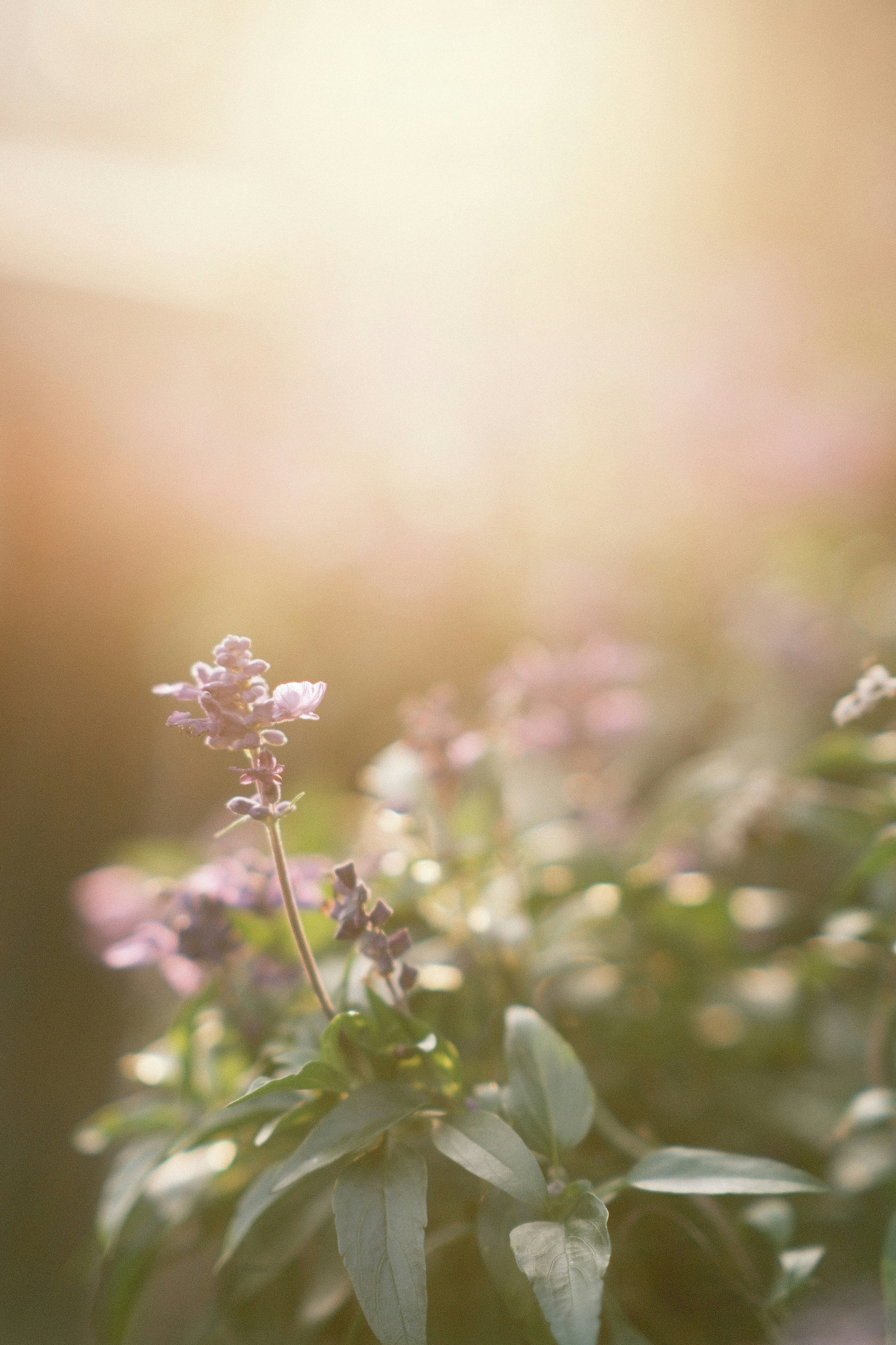 Photo by yokonoito0512