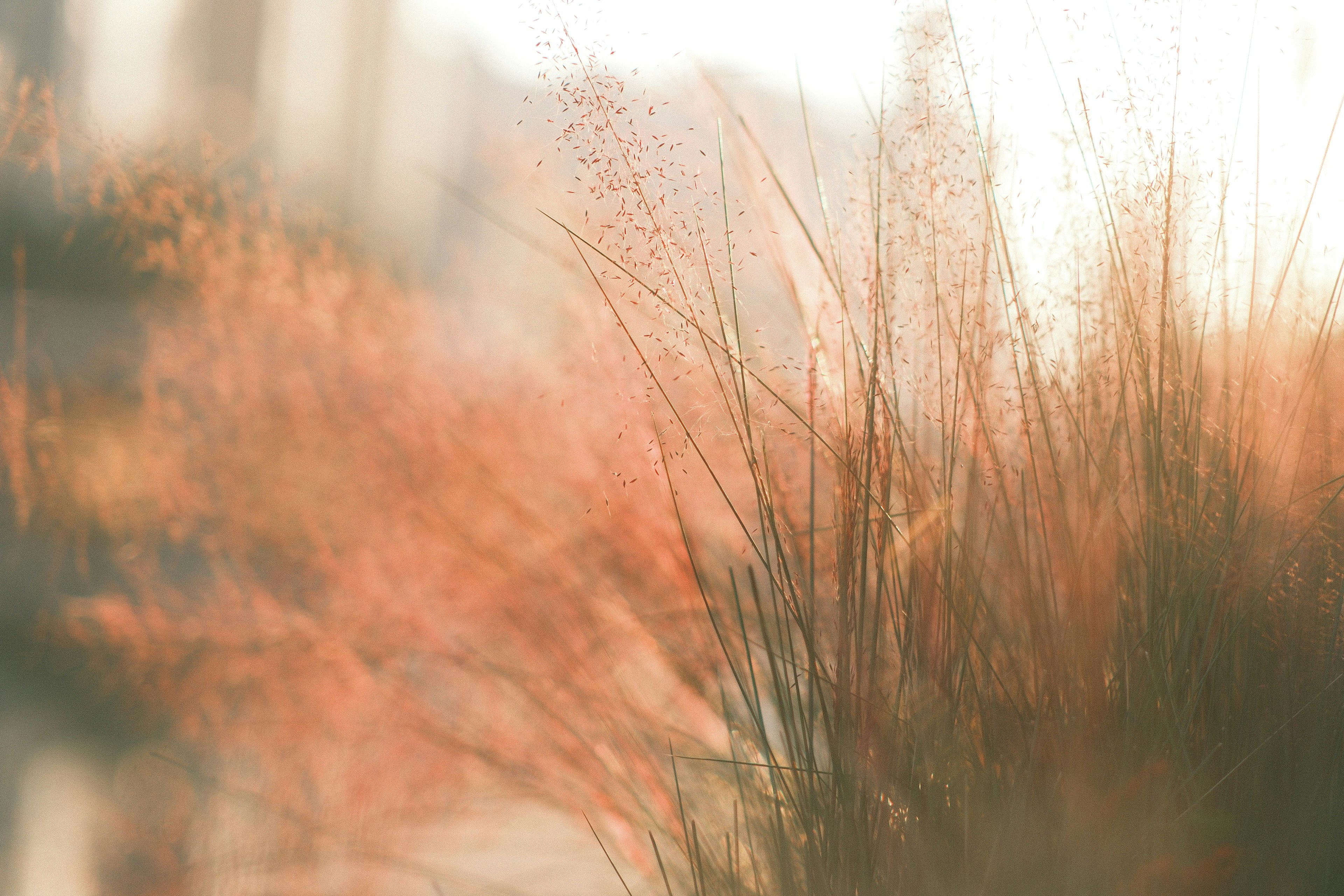 Photo by yokonoito0512