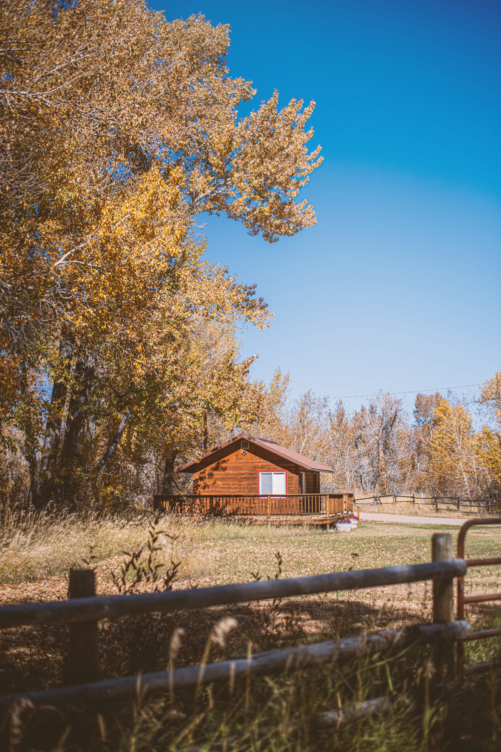 Log cabin in an open meadow