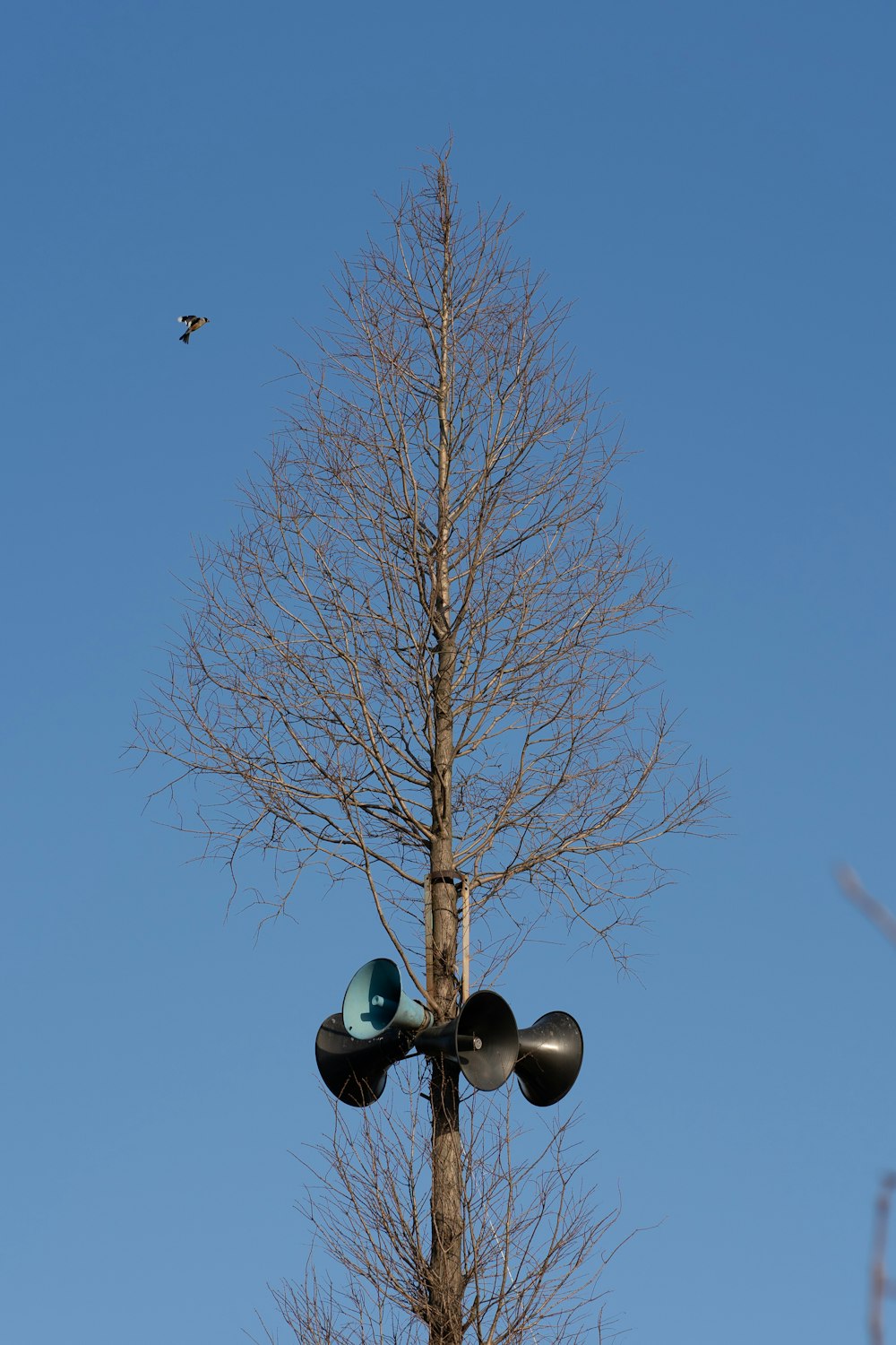 a traffic light on a pole next to a tree