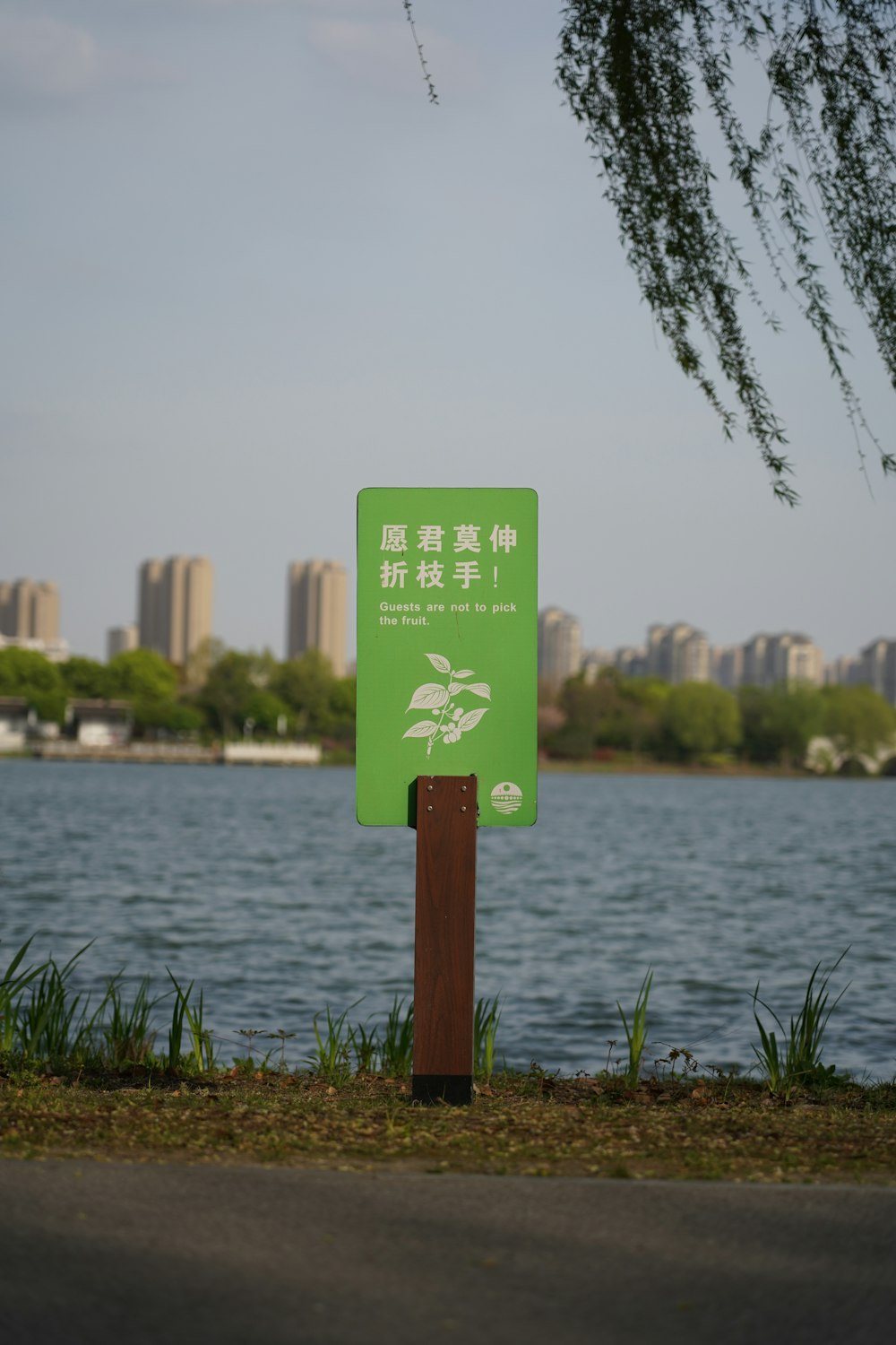 a green sign sitting on the side of a lake