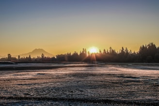An inspiring landscape view symbolizing growth and potential, with a sunrise in the background.