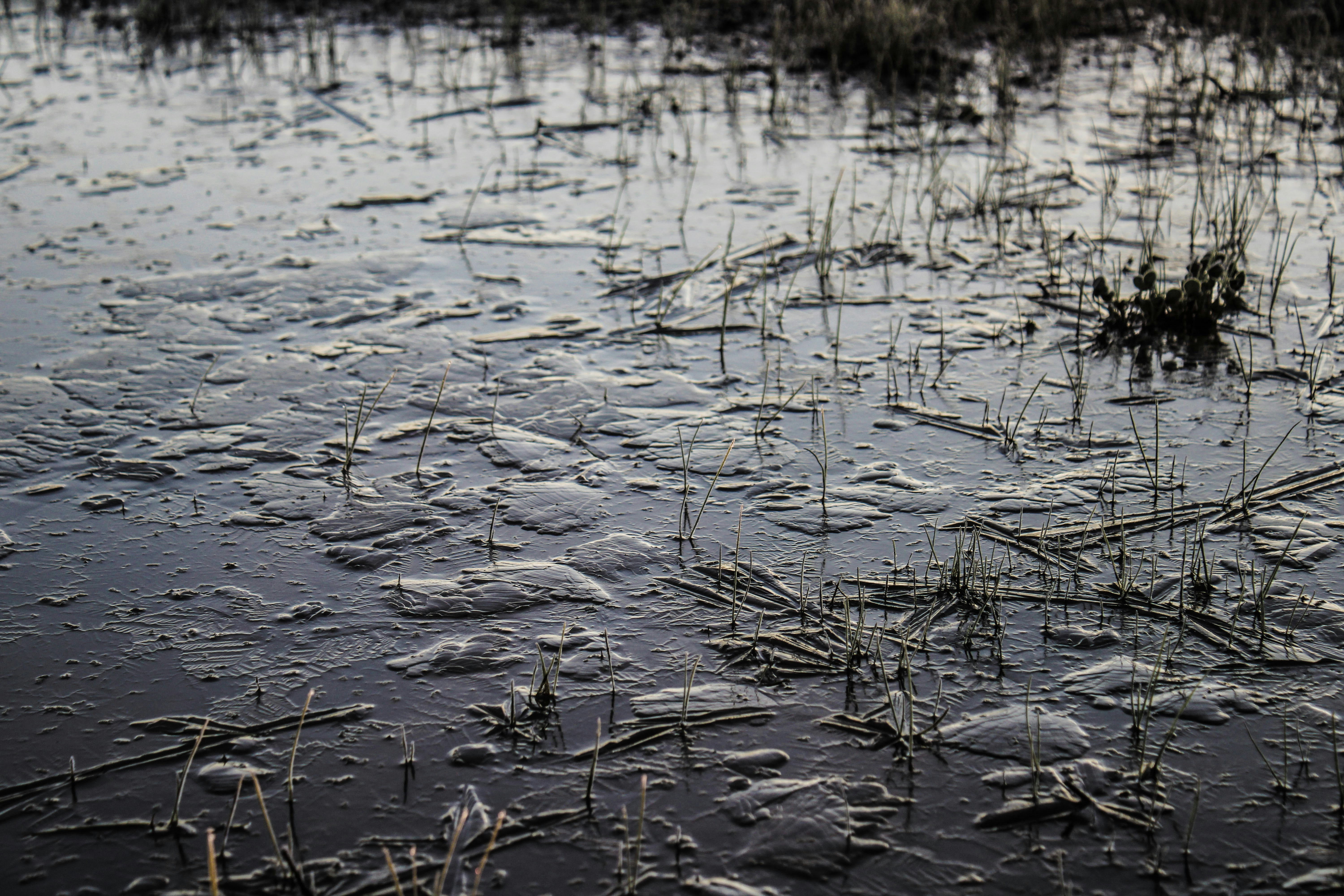 Photo by prphotography262