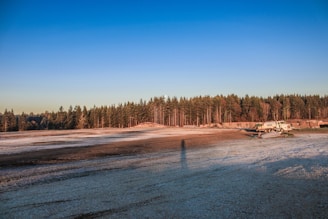 A wide-open construction site with a frosty ground and a dense forest in the background under a clear blue sky. A water truck is parked to the right side of the image.