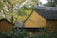 Several traditional Chinese-style buildings with yellow walls and dark gray tiled roofs are partially obscured by lush green foliage and overhanging branches. The scene is tranquil and surrounded by trees with green and yellow leaves.