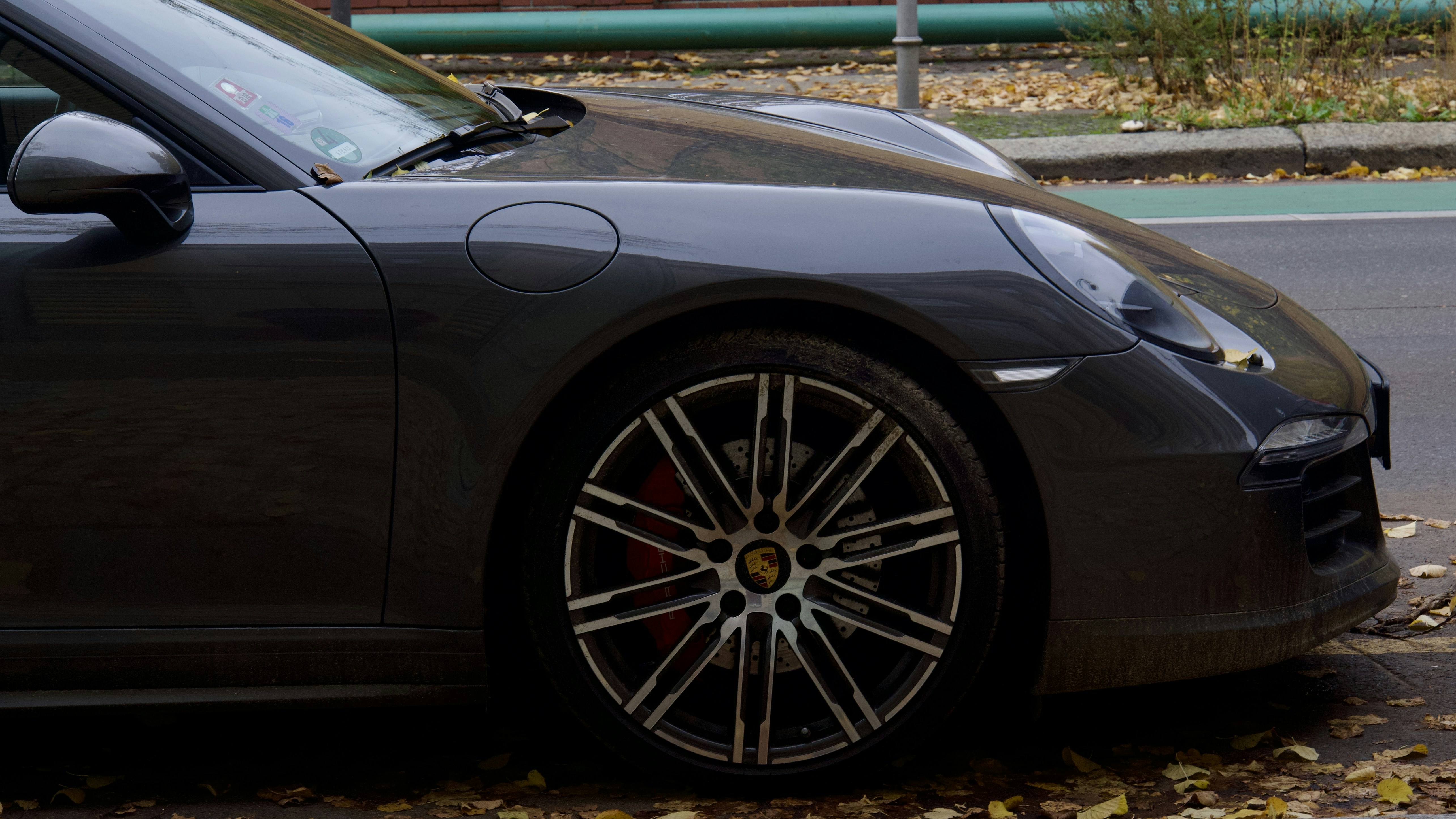 Photo by quang_quang